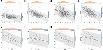 Immunogenic cell death-related classifications in breast cancer identify precise immunotherapy biomarkers and enable prognostic stratification